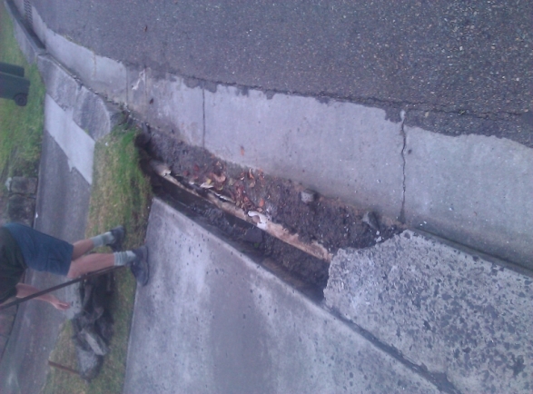 driveway before repairs